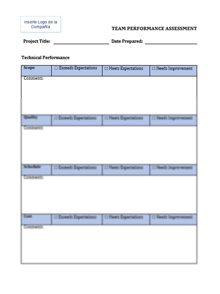 EXECUTING FORMS: Team Performance Assessment (TPA)