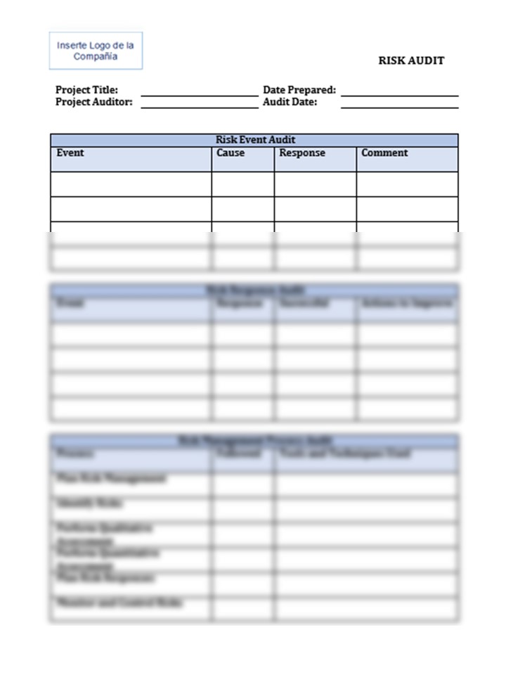 MONITORING &amp; CONTROL FORMS: Risk Audit (RA)